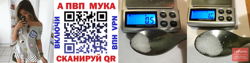 А ПВП СК  закладка  Циолковский 