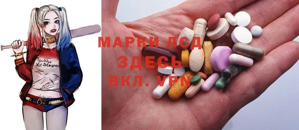 прущие грибы Снежинск
