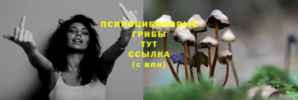 кокс Кукмор