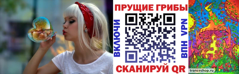 Псилоцибиновые грибы мицелий  hydra маркетплейс  Циолковский 